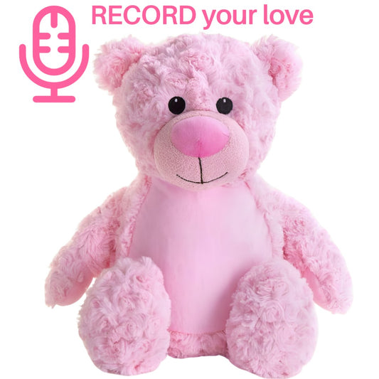 Personalised Voice Recorder Teddy Bear Pink