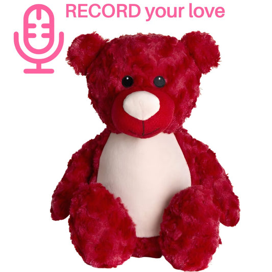 Personalised Voice Recorder Teddy Bear Red